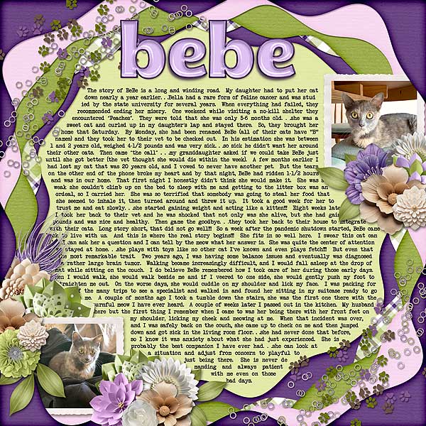 BeBe