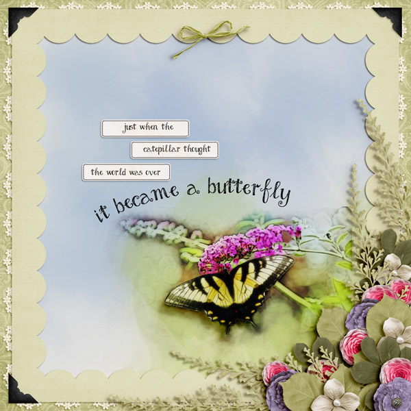 Became A Butterfly