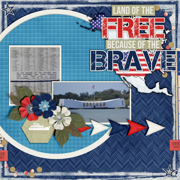 Because-of-The-Brave