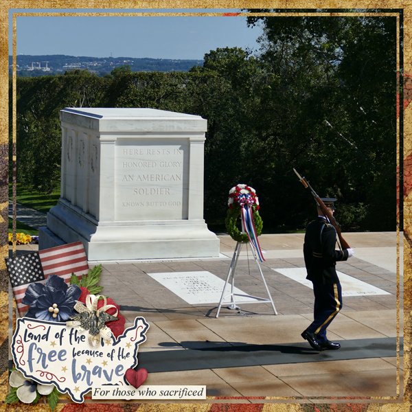 .... Because Of The Brave