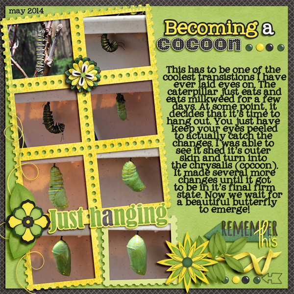 Becoming a Cocoon