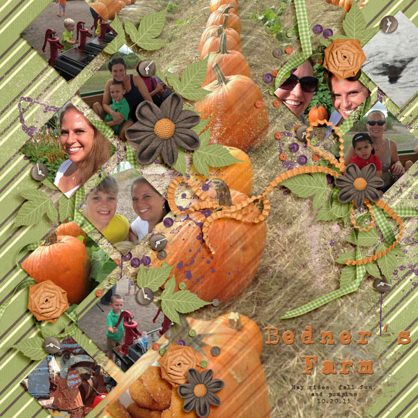 Bedner's Farm