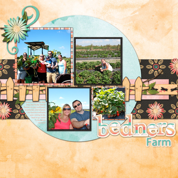 Bedner's Farm