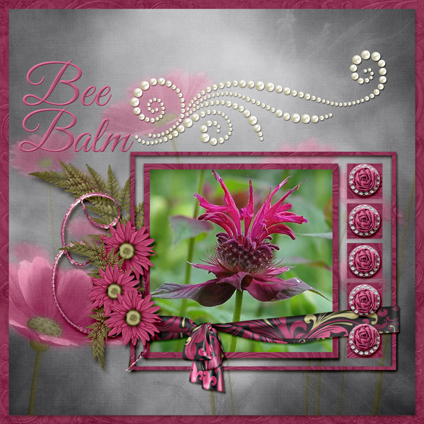 Bee Balm