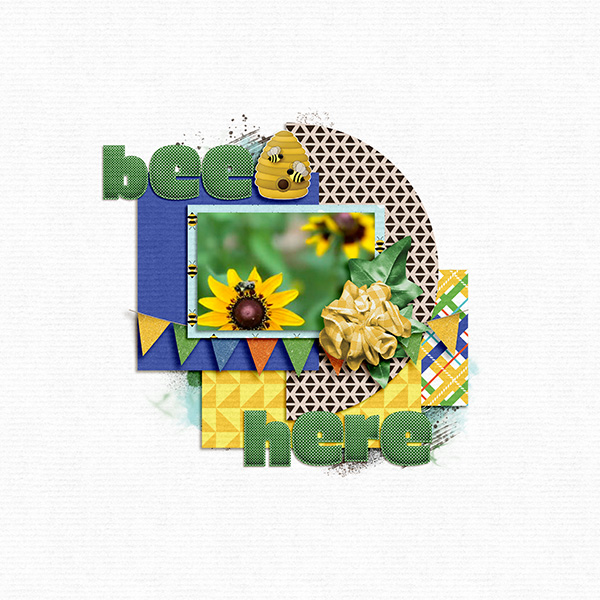 Bee Here
