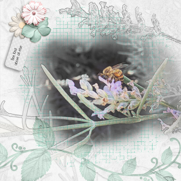 Bee Kind