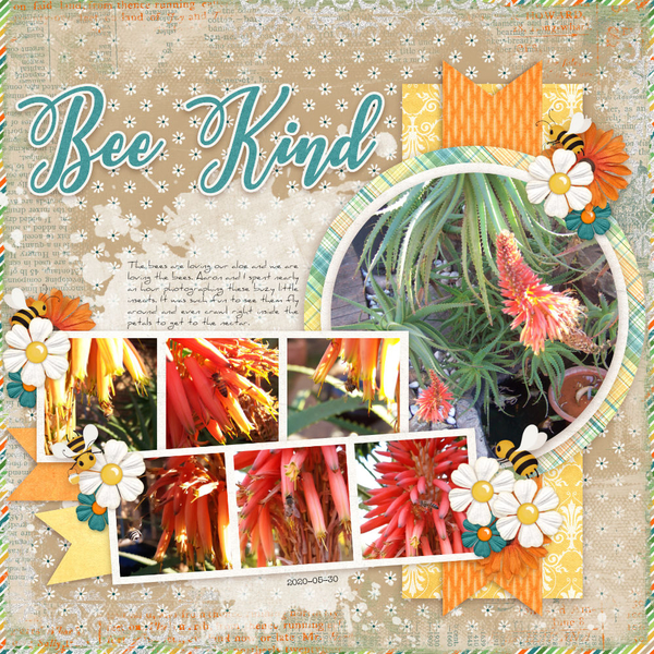 Bee Kind