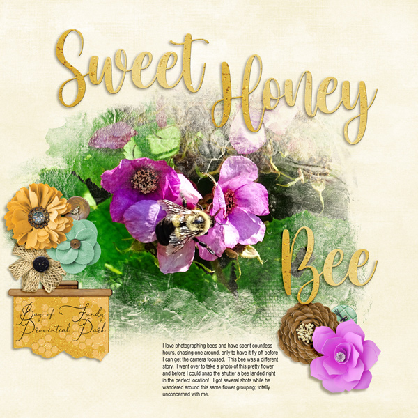 Bee Model