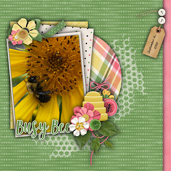 Bee on Sunflower