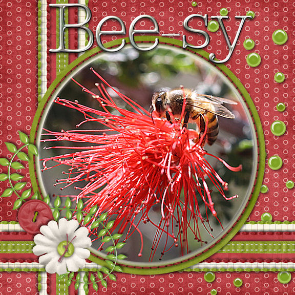 Bee