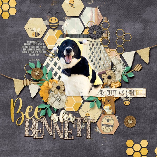 Bee_is_for_Bennett-min