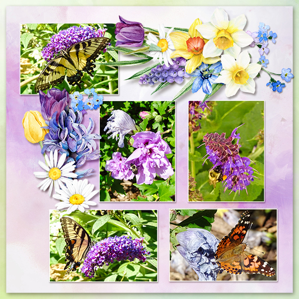 Bees and Butterflies