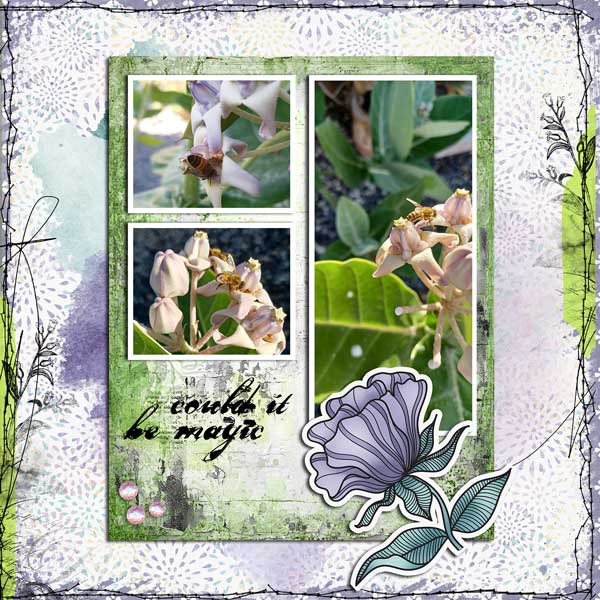 Bees-&-Crown-Flowers-webv.jpg