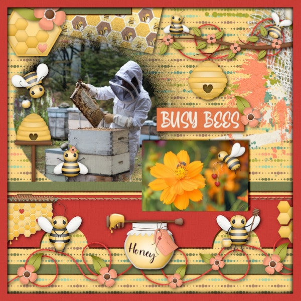Bees + Honey