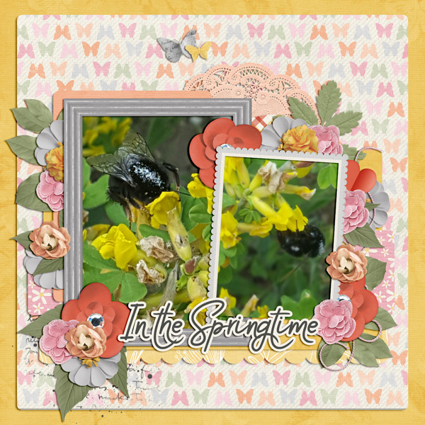 bees