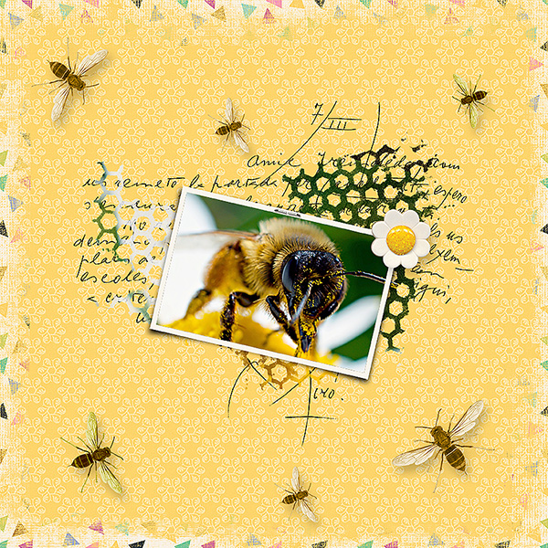 Bees