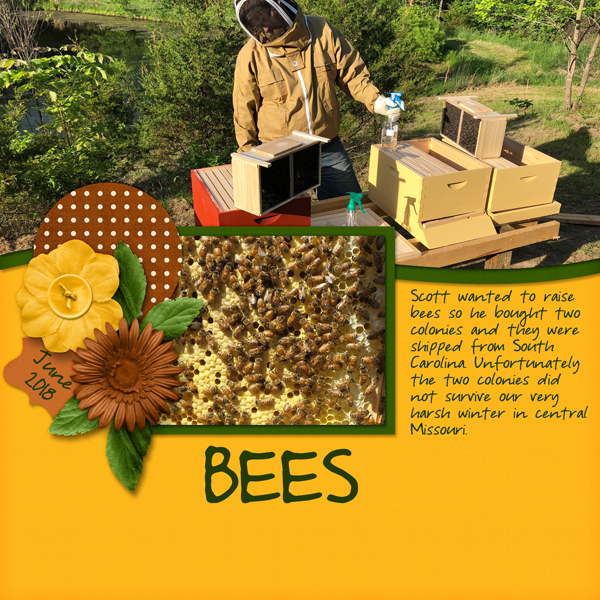 Bees