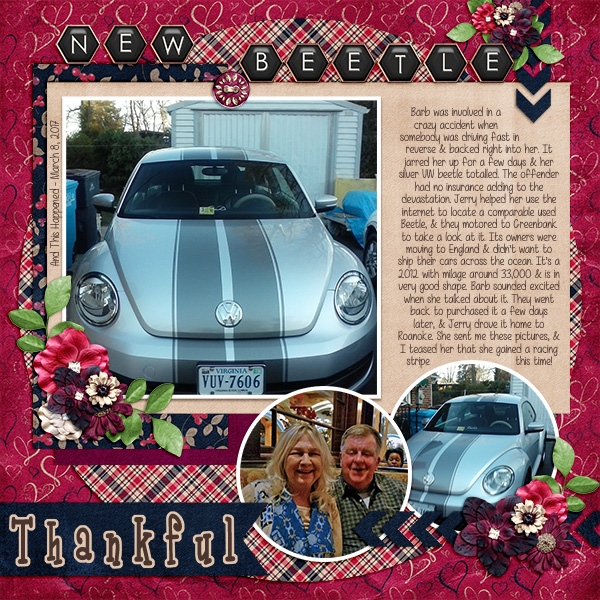 Beetle Mania