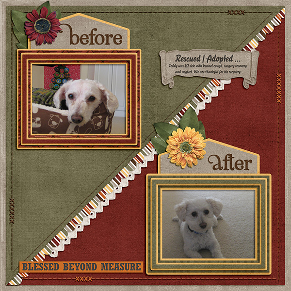 Before/After