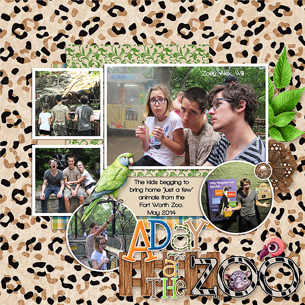 Beggars for Animals