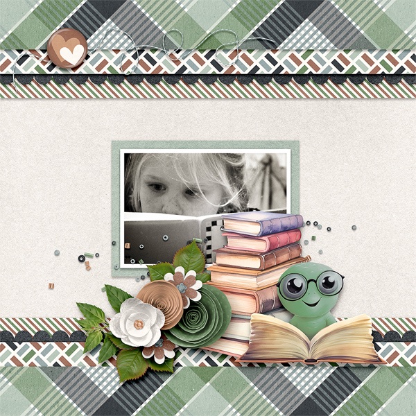 Beginner Bookworm