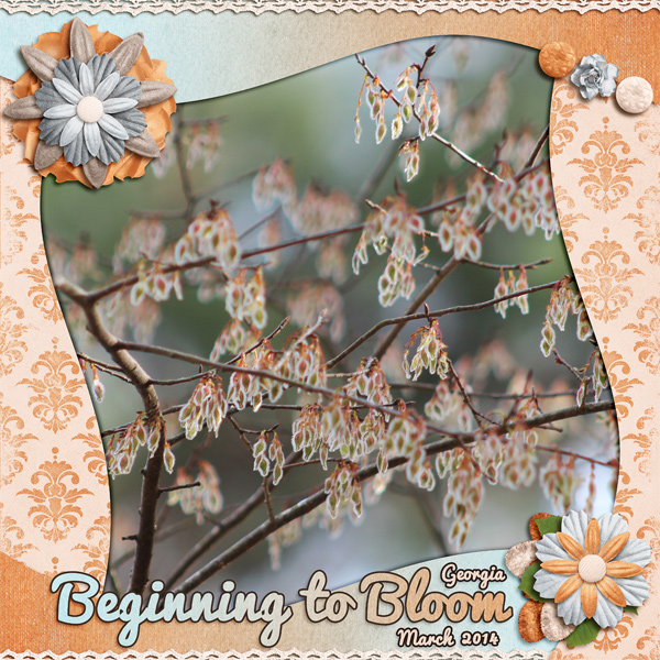 Beginning to Bloom