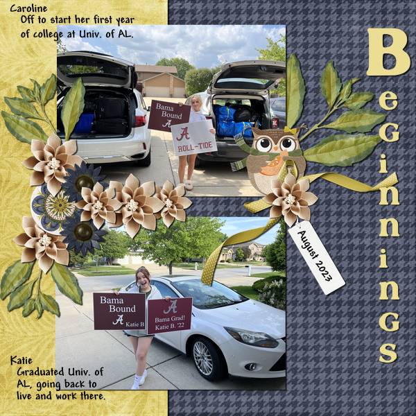 Beginnings