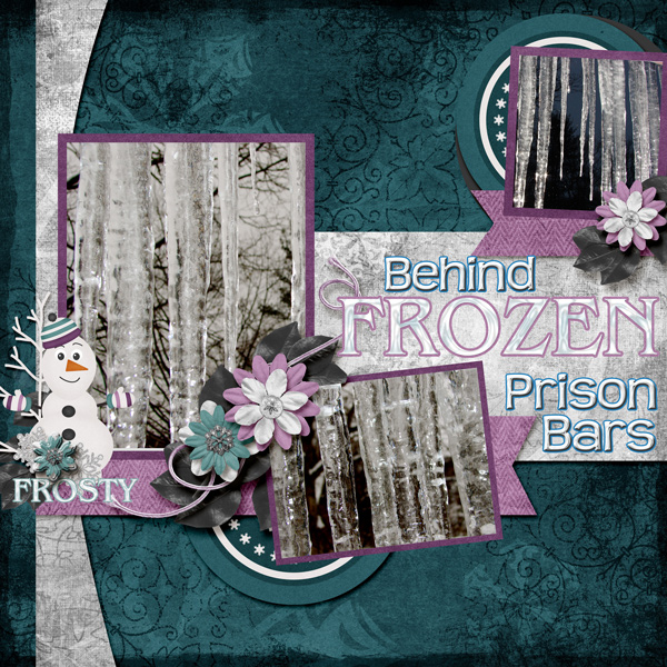 Behind Frozen Prison Bars
