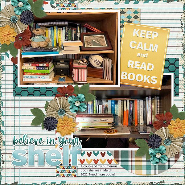 Believe In Your Shelf