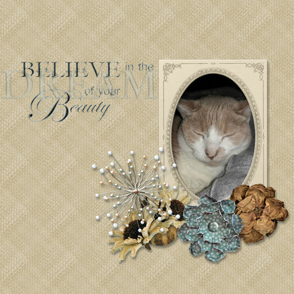 Believe