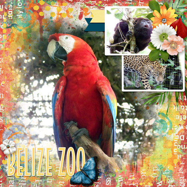 Belize Zoo