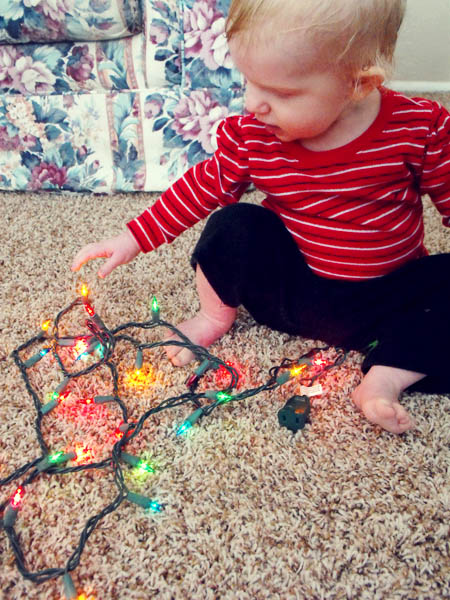 Bella Lights