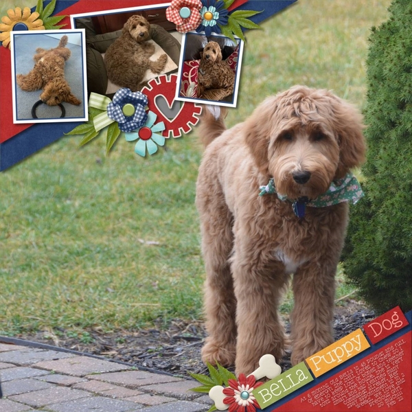 Bella Puppy Dog