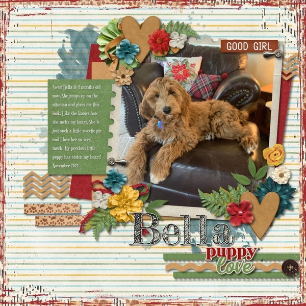 Bella Puppy love