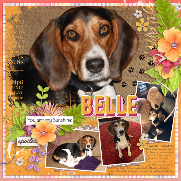 Belle