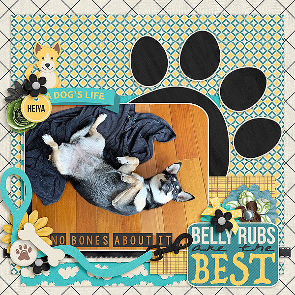 belly rubs