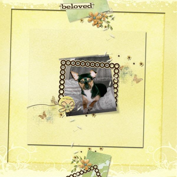 Beloved Indie