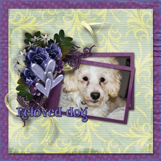 Beloved_dog
