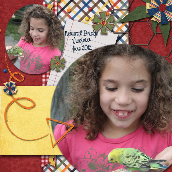 Bels and the Birds