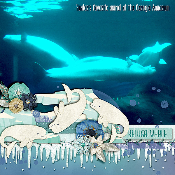beluga-whale-ga-a