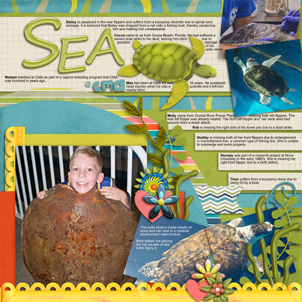 Ben and the Sea Turtles