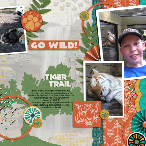 Ben and the tiger-selfie