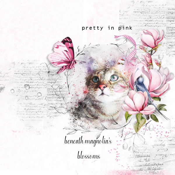 Beneath Magnolias Blossoms
