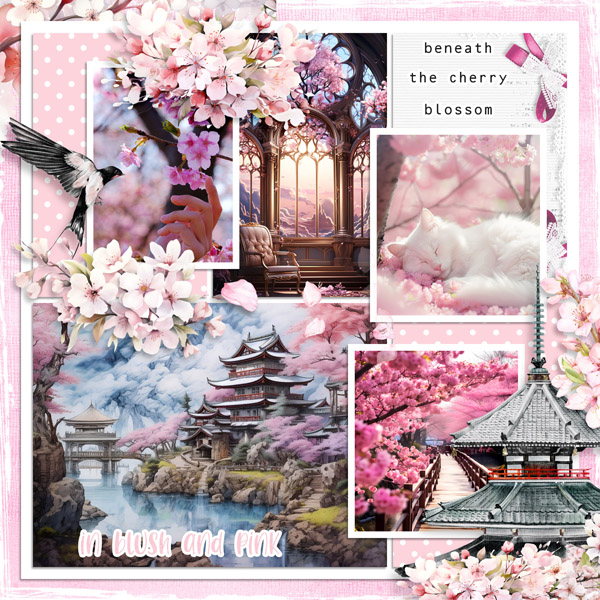 Beneath The Cherry Blossoms