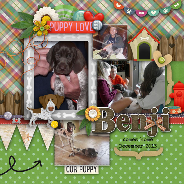 Benji Comes Home