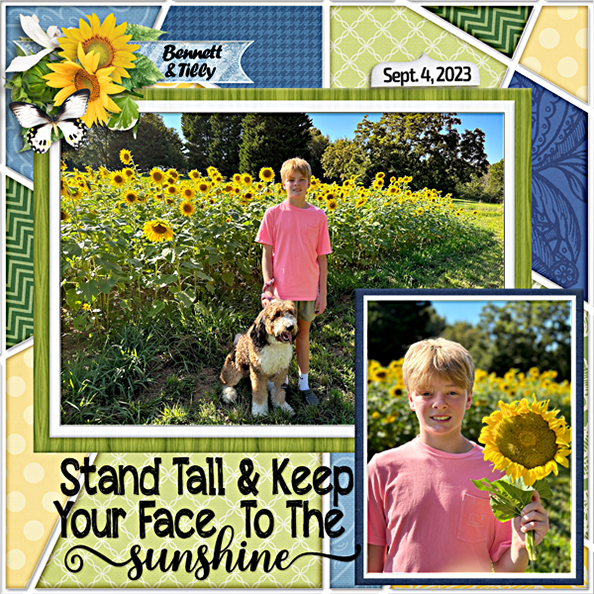 Bennett and the sunflowers