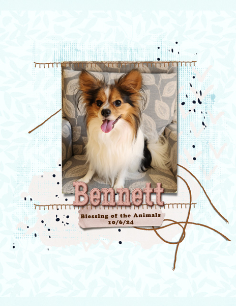Bennett - Blessing of the Animals