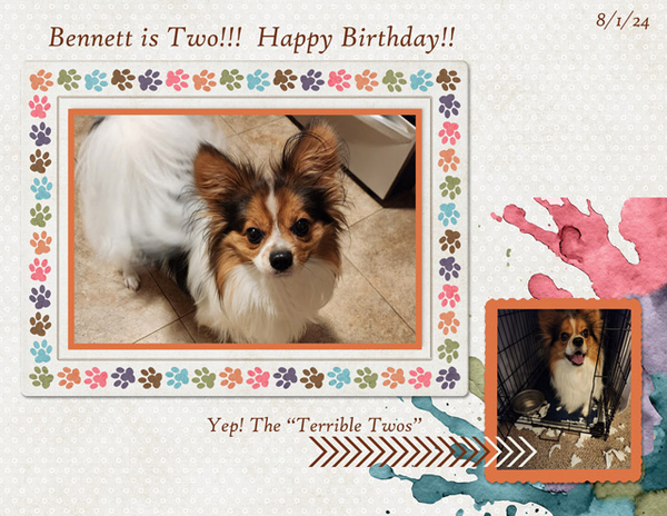 Bennett is Two