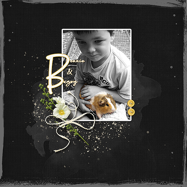 Bennie + Bugsy