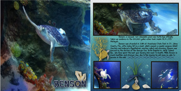 Benson